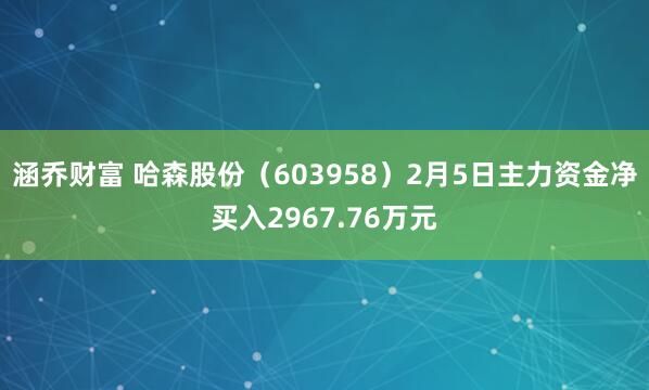 涵乔财富 哈森股份（603958）2月5日主力资金净买入2967.76万元